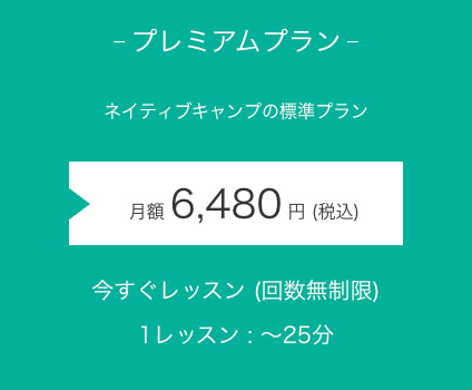ネイティブキャンプ3