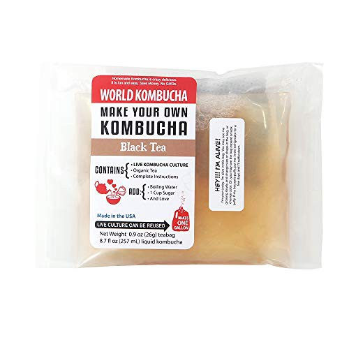 WORLD KOMBUCHA